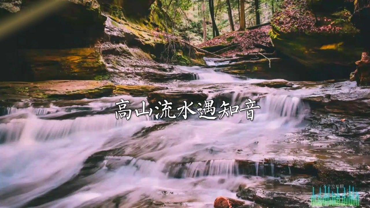 可爱熊猫逃生